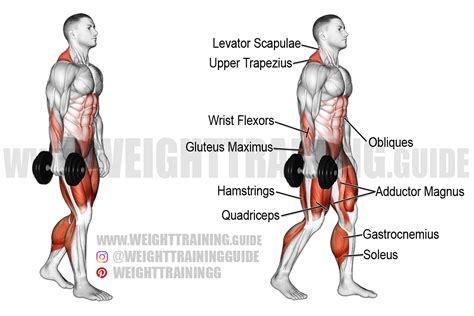 How to Do a Suitcase Carry Techniques Benefits Variations