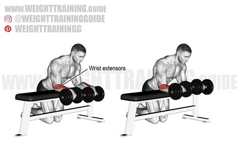 How to Do a Wrist Curl Techniques Benefits Variations