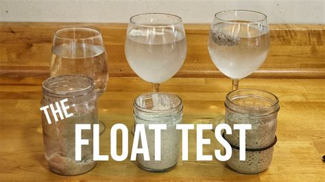 How to Do the FLOAT TEST for Sourdough Starter - YouTube