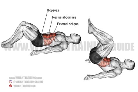 How to Do the Reverse Crunch Exercise