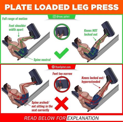 How to Do the Seated Leg Press Proper Form, and Common Mistakes