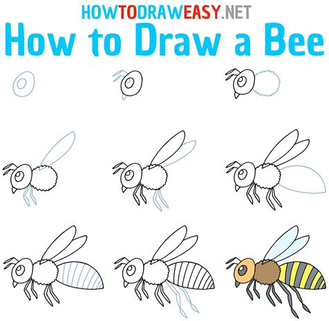How to Draw A Beehive Step by Step