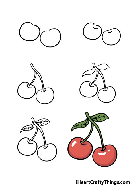 How to Draw A Cherry Step by Step
