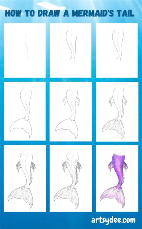 How to Draw A Mermaid Tail Step by Step