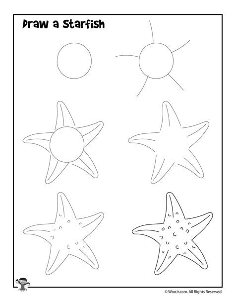 How to Draw A Sea Star Step by Step