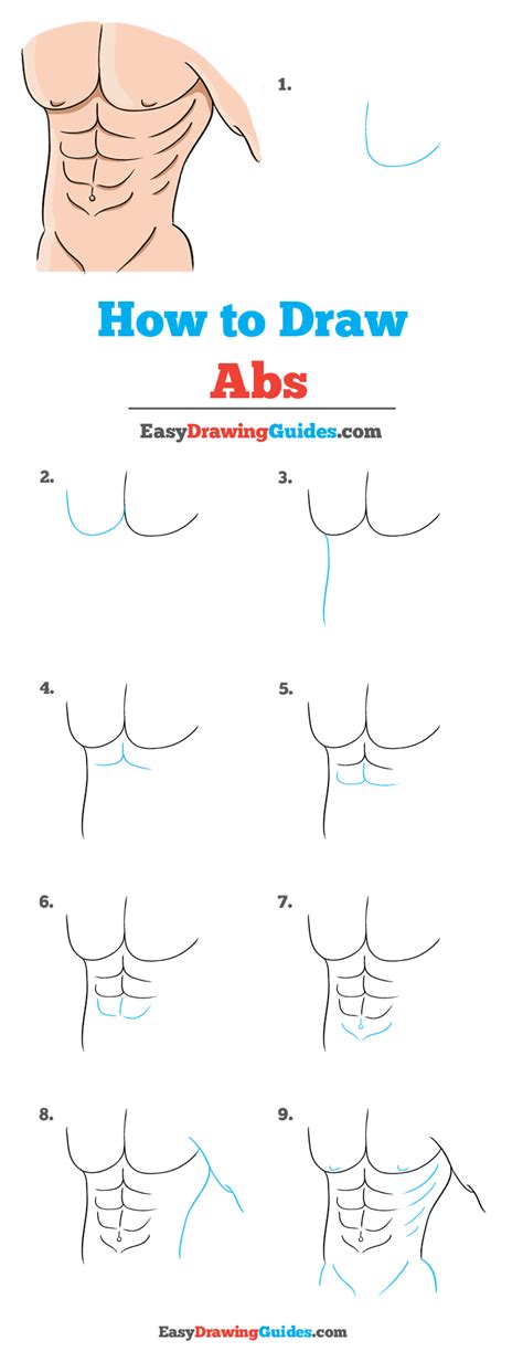 How to Draw Abs Really Easy Drawing Tutorial How to draw abs, Draw