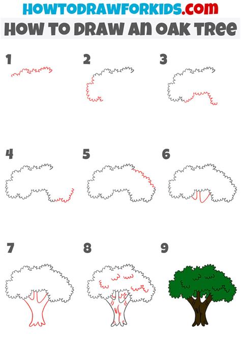 How to Draw An Oak Tree Step by Step