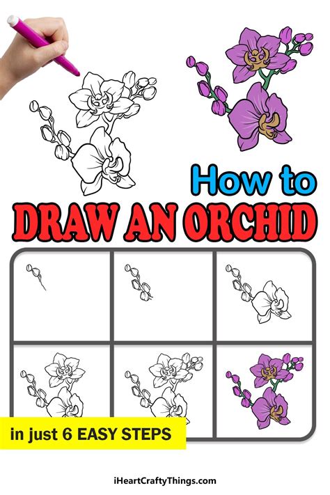 How to Draw An Orchid A Step by Step Guide Flower drawing tutorials