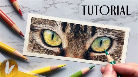How to Draw Cat Eyes with Colored Pencils