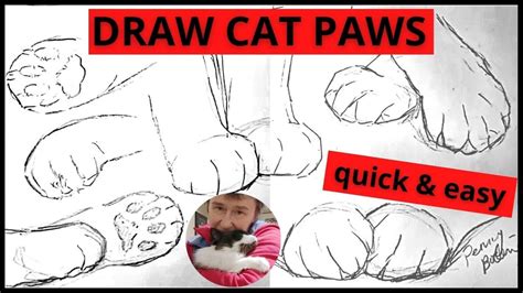 How to Draw Cat Paws Easy quick pose gesture sketch for beginner