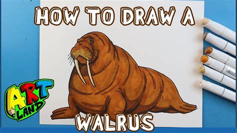 How to Draw Cute Walrus Step by Step - YouTube