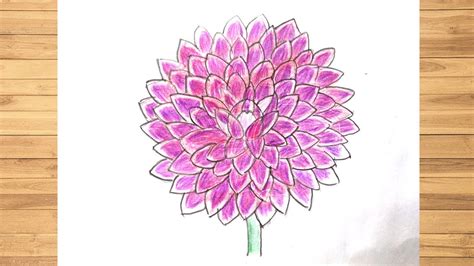 How to Draw Dahlia Flower Step by Step YouTube