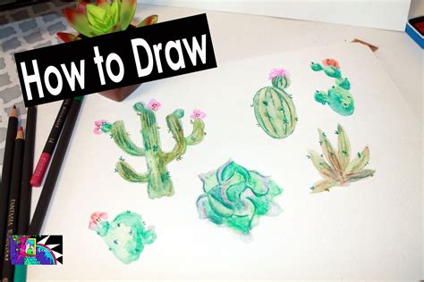 How to Draw Desert Plants! Step by step tutorial. Art with Suzanne