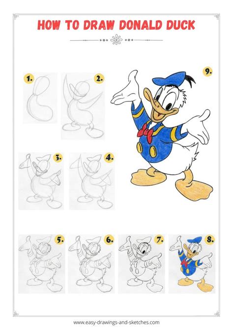 How to Draw Donald Duck Step by Step