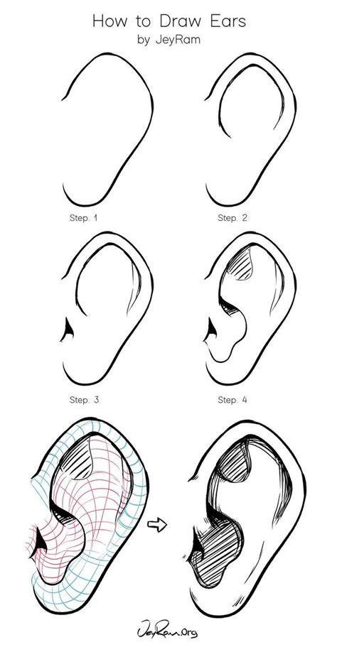 How to Draw Ears, a Detailed Step-by-Ste…