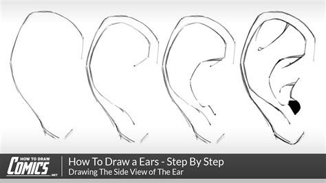 How to Draw Ears Step by Step YouTube