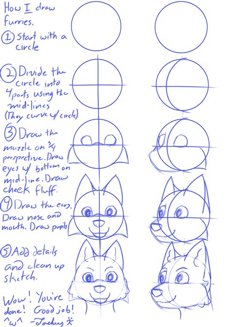 How to Draw Furries Step by Step Guide