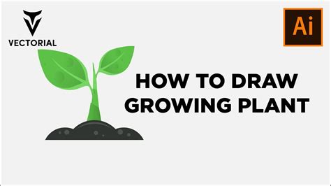 How to Draw Growing plant in adobe illustrator YouTube
