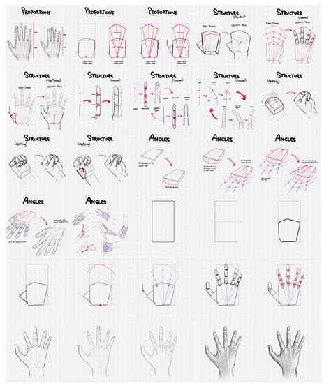 How to Draw Hands A Step by Step Guide Artlex How to draw hands