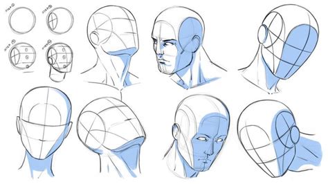 How to Draw Heads at Various Angles Reference by robertmarzullo on DeviantArt Human figure