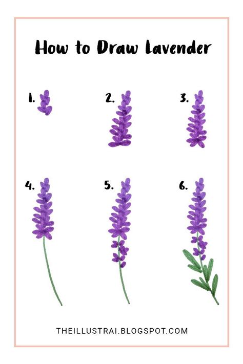 How to Draw Lavender Really Easy Drawing Tutorial Drawing tutorial