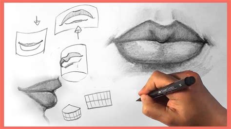 How to Draw Lips - Figure Drawing Anatomy Course Udemy