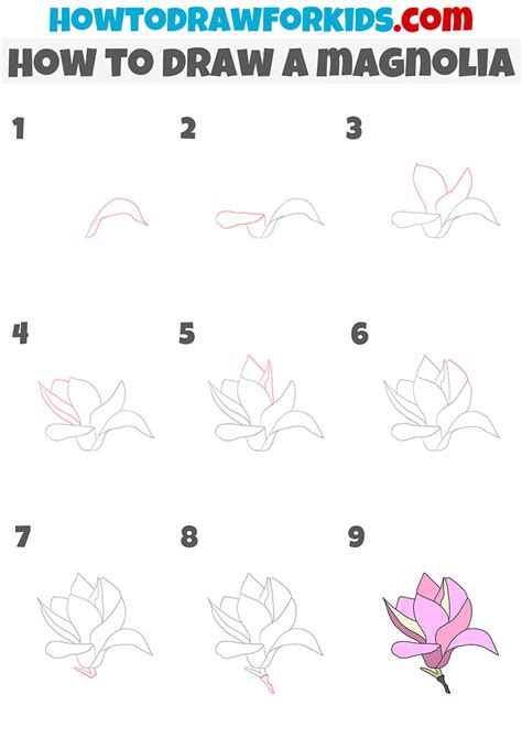 How to Draw Magnolia Flowers Really Easy Drawing Tutorial Flower