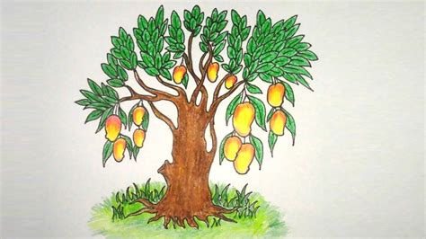 How to Draw Mango tree Very easy Drawing Mango tree YouTube