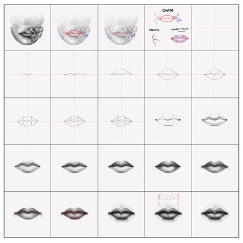 How to Draw Mouth Step By Step Guide How to Draw
