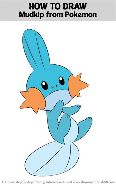 How to Draw Mudkip from Pokemon (Pokemon) Step by Step