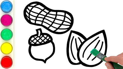 How to Draw Nuts Drawing and Painting Tutorial for Children