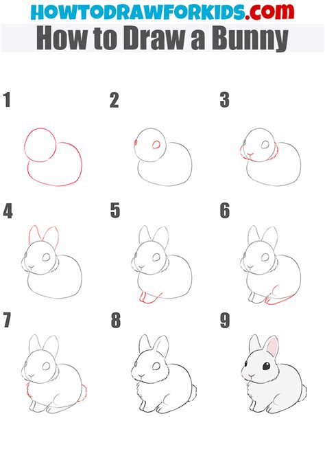 How to Draw Rabbit Step By Step Guide
