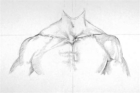 How to Draw Shoulders A StepbyStep Guide to Drawing Shoulders