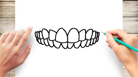 How to Draw Teeth Step by Step YouTube