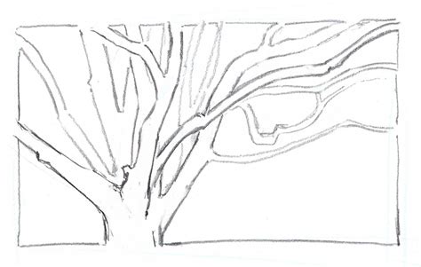 How to Draw Trees Overlapping Branches Tree drawing, Branch drawing