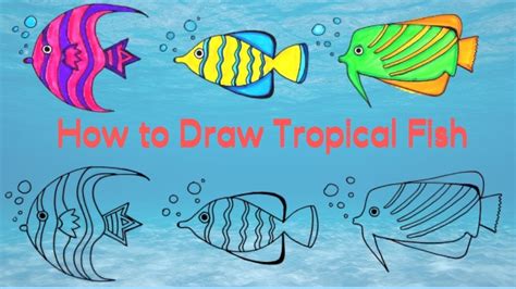 How to Draw Tropical Fish Step by Step Easy Drawing and Coloring for