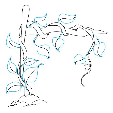 How to Draw Vines Really Easy Drawing Tutorial Vine drawing