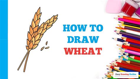 How to Draw Wheat in a Few Easy Steps Drawing Tutorial for Beginner