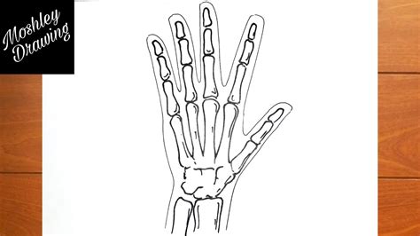 How to Draw XRay of Human Hand YouTube
