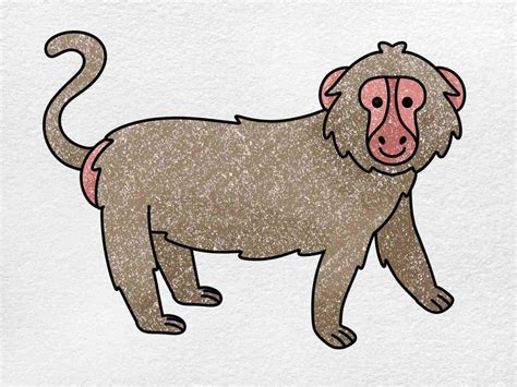 How to Draw a Baboon HelloArtsy