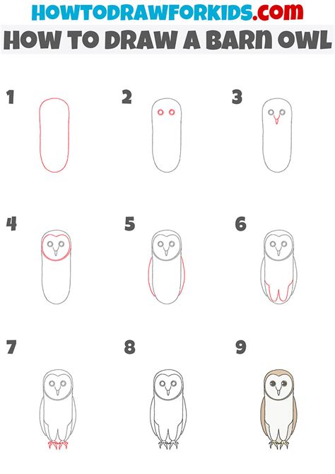 How to Draw a Barn Owl Easy Drawing Tutorial For Kids