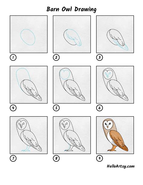 How to Draw a Barn Owl with Pencil Step by Step For Beginners (Easy
