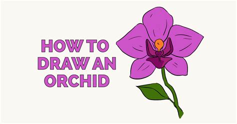 How to Draw a Beautiful Orchid Really Easy Drawing Tutorial in 2021