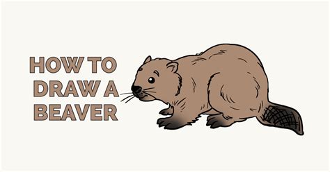 How to Draw a Beaver Really Easy Drawing Tutorial