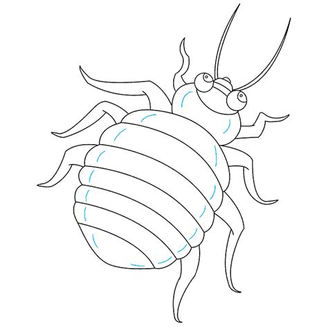 How to Draw a Bed Bug Really Easy Drawing Tutorial