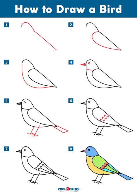How to Draw a Bird Step by Step Easy with Pictures birdies Bird