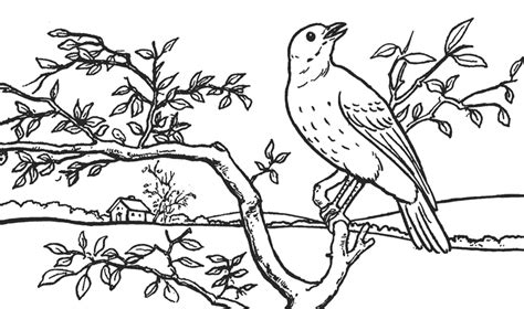 How to Draw a Bird in a Tree in Front of Rolling Hills Landscape