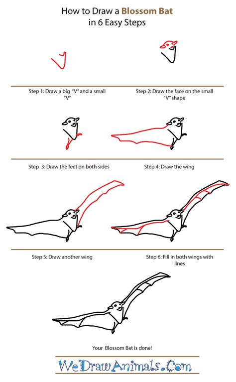 How to Draw a Blossom Bat