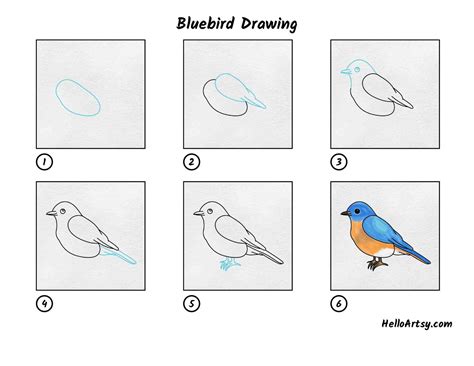 How to Draw a Bluebird Easy Drawing Tutorial For Kids