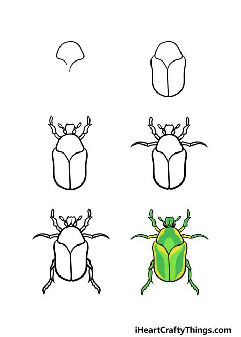 How to Draw a Bug Insect Step by Step Drawing Coloring YouTube